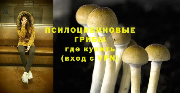 соль ск Абинск